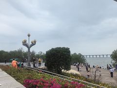 -宝安西湾红树林湿地公园