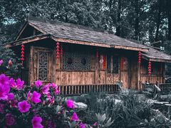 -南山植物园