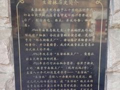 -生活林(河北路店)