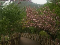 -贵阳市花溪国家城市湿地公园