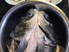-好灶头妈妈菜·柴火灶台鱼·千岛湖土菜地标美食