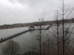 -溱湖国家湿地公园