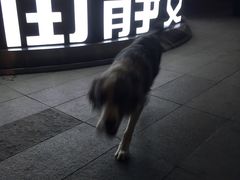 -金融街·静安中心