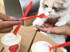 -DQ·蛋糕·冰淇淋(五角场万达店)