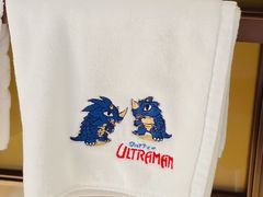 -北京东三环希尔顿逸林酒店