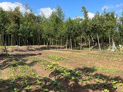 -东钱湖旅游度假区