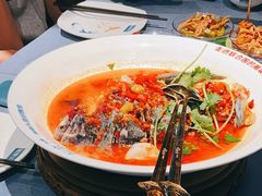 -坛宗剁椒鱼头(河西王府井店)