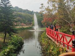 -丹樱生态园