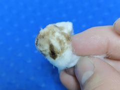 -佳雯宠物医院(四明中路分院)