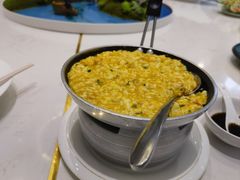 -丁老爷子苏香圆
