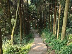 -峨眉山风景名胜区