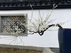 -杭州植物园
