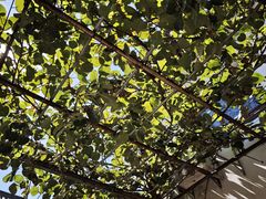 -雅鲁激流探险漂流