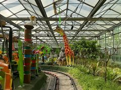 -南宫五洲植物乐园