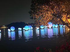 -惠州康帝国际酒店