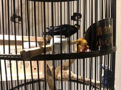 -清真·京华源铜锅涮肉(丰庆店)