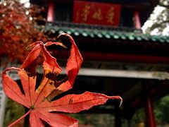 -岳麓山风景名胜区