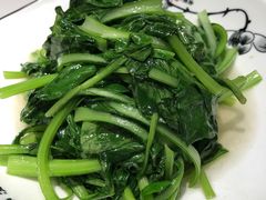 鸡毛菜-江南苑精菜坊