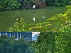 -华侨城湿地公园