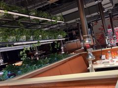 -猫爪爪原切自助烤肉(观音桥阳光世纪店)