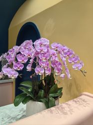 -奈尔宝·儿童乐园·亲子餐厅(鄞州万达店)