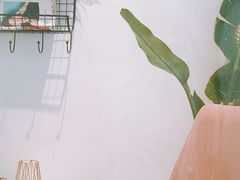 -CHEZ JASMINE 茉莉的氧气厨房