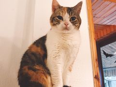 -隅cafe(傅厚岗店)