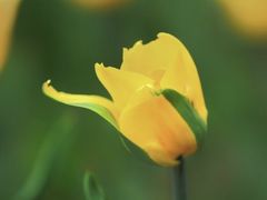 -北京市西城区德胜社区卫生服务中心