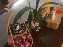 -施奈儿.洗头頭療.按摩SPA.采耳(上梅林店)