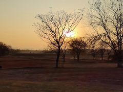 -盘龙城国家考古遗址公园