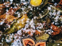 -云岫谷游猎自然风景区