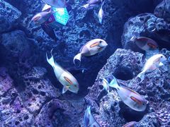 -成都浩海立方海洋公园