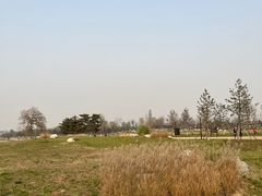 -汉长安城未央宫国家考古遗址公园