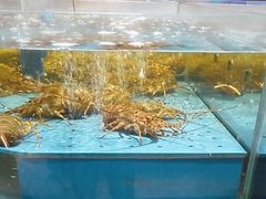 -阿伟海鲜楼·福建菜(延寿店)