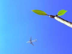 -品德宏·孔雀宴的发源地(金塔园店)