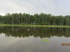 -塞罕坝国家级自然保护区