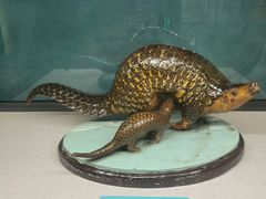 -国家自然博物馆