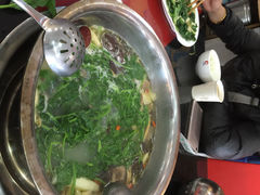 波密野生菌王汤锅-波密野生菌王酒家