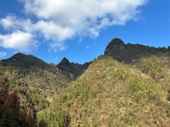 -张关合渣(航空大道店)