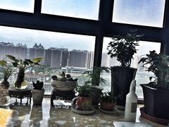 -秦美花卉(天朗·莱茵小城2期店)