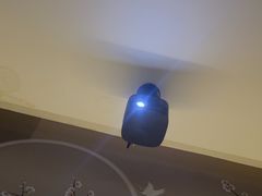 -云领御 • 影院式SPA足道(俊发广场店)