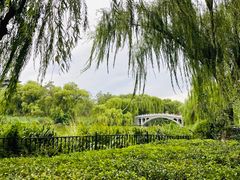 -济南大明湖景区