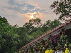 -梧桐山风景名胜区