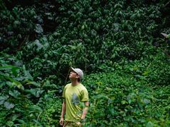 -昆百大泰业城