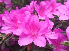 -苏州河梦清园环保主题公园