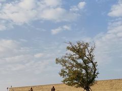 -盘龙城国家考古遗址公园