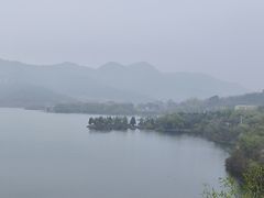 -满族八旗正宗牛肉面