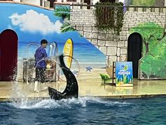 -台州海洋世界