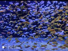 -成都浩海立方海洋公园