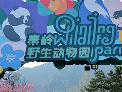 -西安秦岭野生动物园